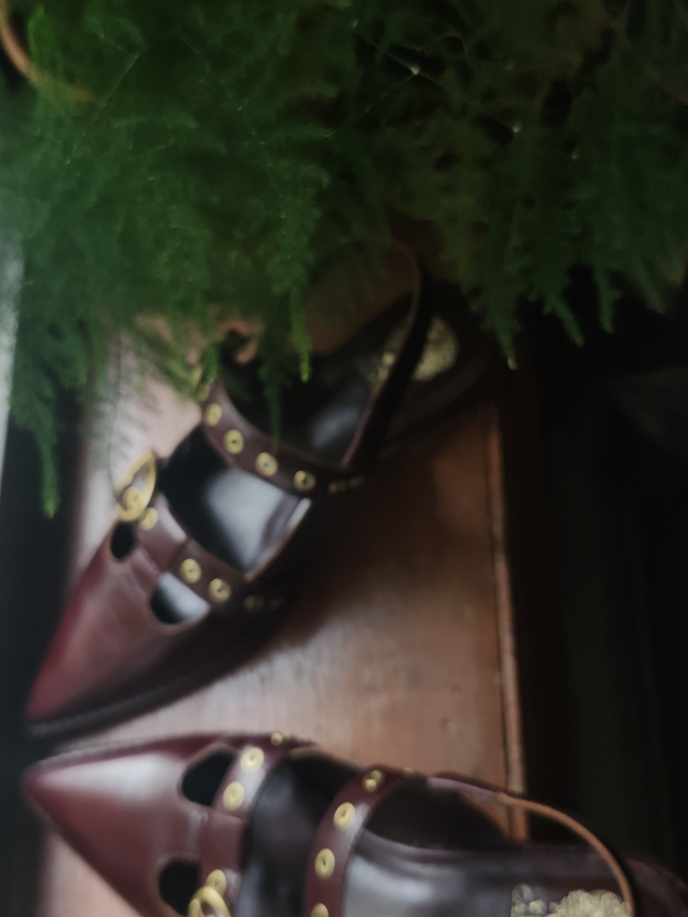 Women's Pointed Mary Jane Flats in Burgundy with Studded Straps